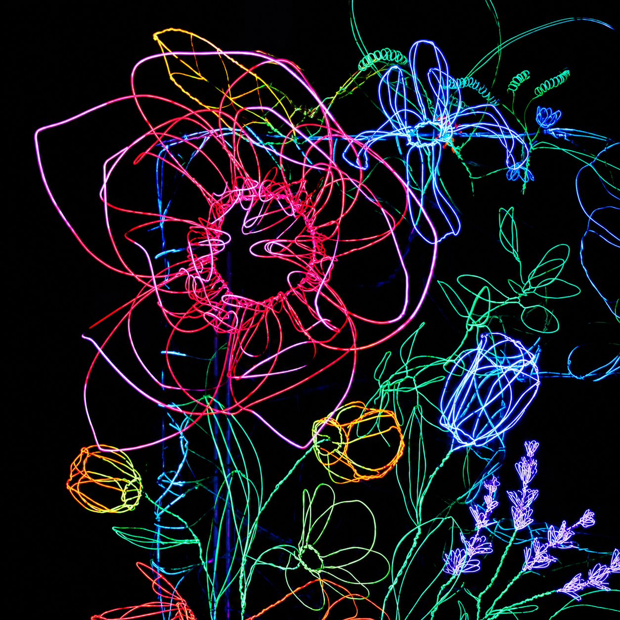 Dettaglio di scultura luminescente in filo di acciaio